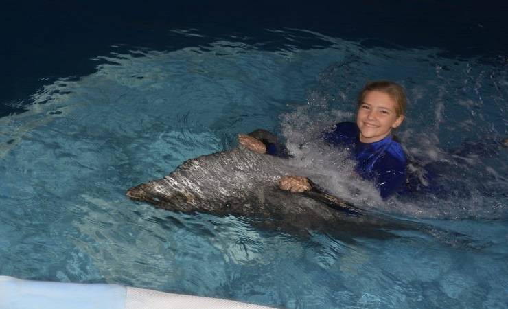 DOLPHIN SHOW $15